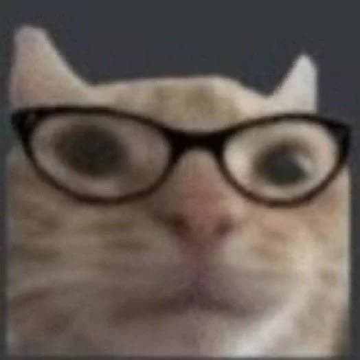 ABIGCOYOTE