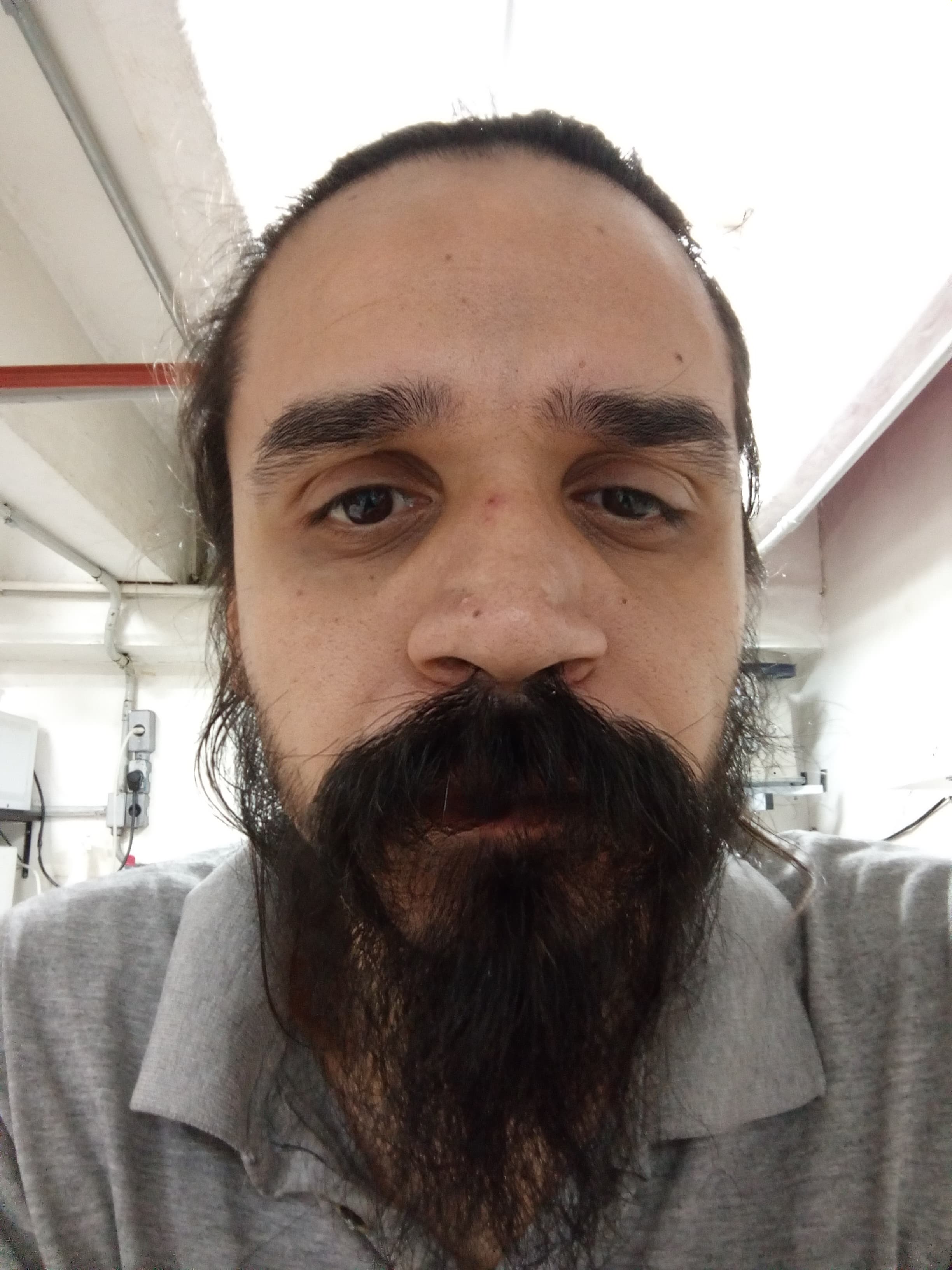 DannCastro