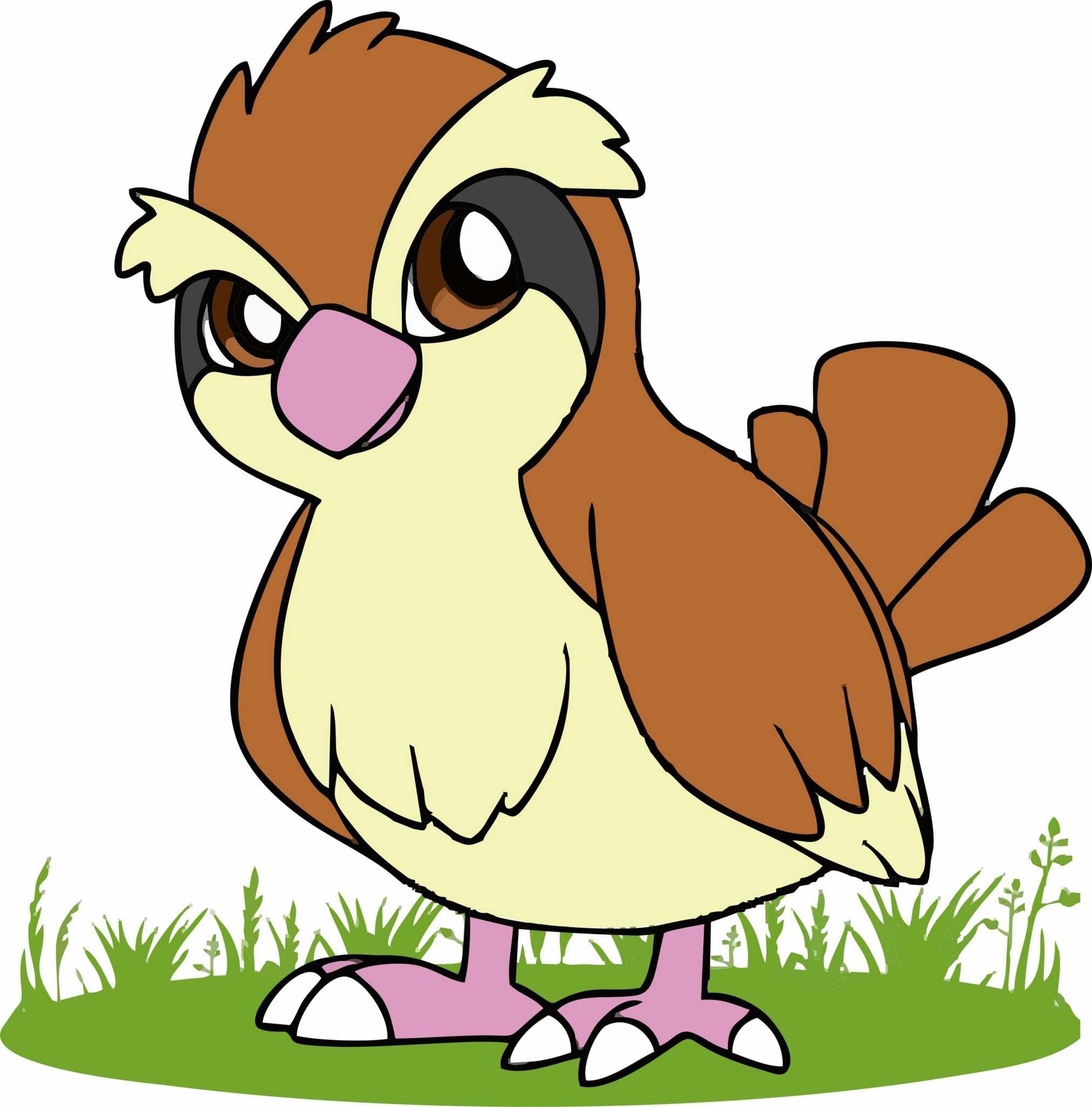 Pidgey